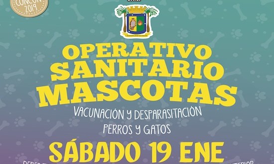 MUNICIPIO DE CONCÓN INFORMA SOBRE PRÓXIMO OPERATIVO DE MASCOTAS: SÁBADO 19 DE ENERO