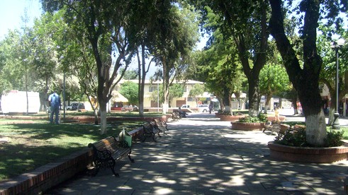 plazaolmue