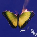 “Love Is Like”: Maroon 5 Rompe el Silencio con su Anticipado Regreso Musical